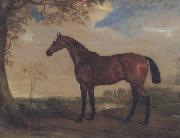 Portrait of a Hunter Mare,The Property of Robert shafto of whitworth park,durham, John Ferneley